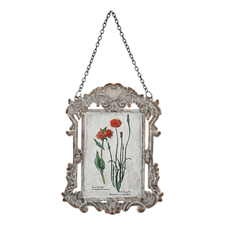 Printed Botanical Garden Wall Decor - Assorted - Boutique Bella BellaHome Decor