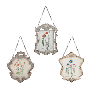 Printed Botanical Garden Wall Decor - Assorted - Boutique Bella BellaHome Decor
