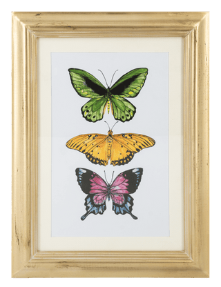 Printed Butterfly Wall Decor Ganz - Boutique Bella BellaHome Decor