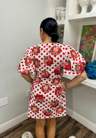 QOS White & Red Polka Dot Tomato Button Up Dress - Boutique Bella BellaQueen of Sparkles