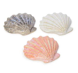 Reactive Glaze Shell Tidbit Dish - Boutique Bella Bellashell dish