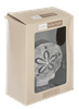 Sand Dollar Night Light - Boutique Bella BellaNightlight