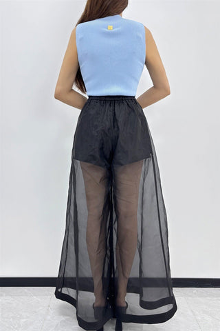 Sheer Bliss Pants - Boutique Bella BellaPants