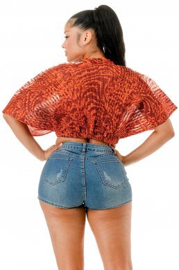 Sheer Delight Blouse - Boutique Bella Bellablouse