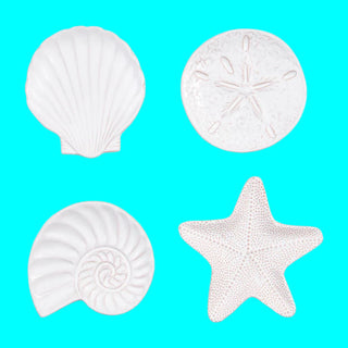 Shell Tidbit Plates - Assorted - Boutique Bella Bellakitchen trivet