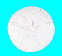 Shell Tidbit Plates - Assorted - Boutique Bella Bellakitchen trivet