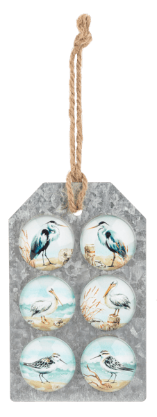 Shorebird Magnet (6 pc. set) - Boutique Bella BellaMagnets
