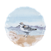 Shorebird Salad Plate - Boutique Bella Bellasalad plate
