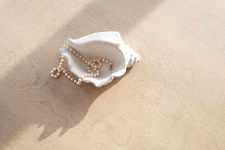 Shoreline Trinket Trays - Conch - Boutique Bella BellaTray