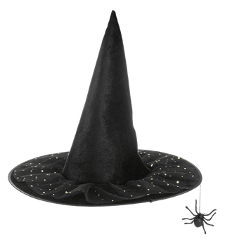 Spider Witch Hat - Boutique Bella Bellawitch hat
