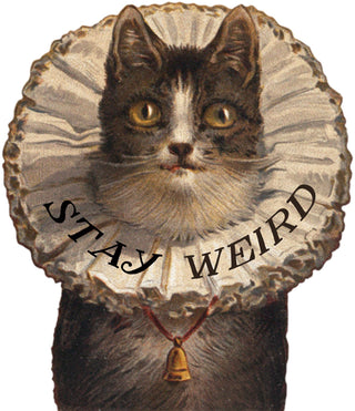 Stay Weird Kitty Sticker - Funny Cat Stickers - Boutique Bella BellaStickers