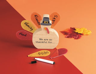 Tail Of Gratitude Turkey Set - Boutique Bella BellaThanksgiving