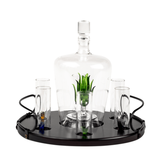 Tequila Decanter Tequila Glasses Set With Agave Decanter And 6 Agave Shot Glass With Stand Perfect F - Boutique Bella Bella
