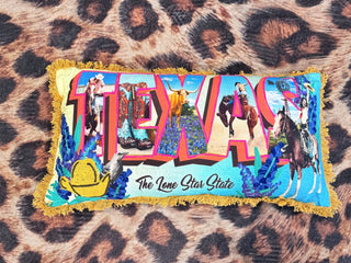 TEXAS Pillow 14x28 - Boutique Bella BellaPillow