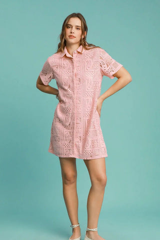 The Apricot Lace Dress - Boutique Bella BellaDRESS