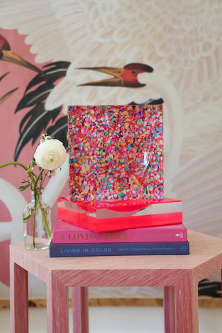 The Color Connect Large Acrylic Catchall Dish - Boutique Bella BellaTray