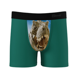 The Mad Lizard - Dinosaur Youth Boxer Briefs - Boutique Bella Bellaboys boxer briefs