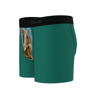 The Mad Lizard - Dinosaur Youth Boxer Briefs - Boutique Bella Bellaboys boxer briefs