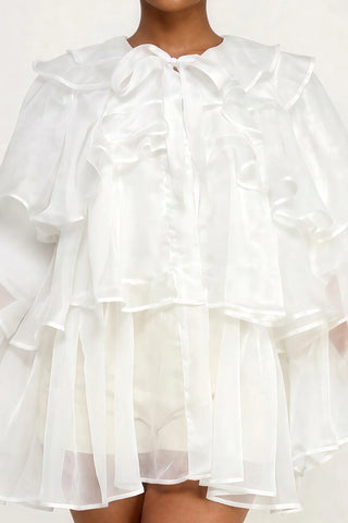 Dressed to Ruffle Sheer Top - White