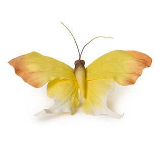 utterflies with Clip Attachment Décor - Boutique Bella Belladecor
