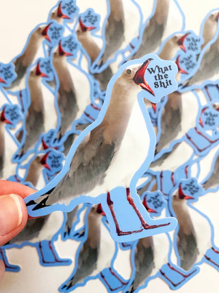 What the Shit Bird Sticker - Funny Stickers for Laptop - Boutique Bella BellaStickers
